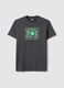 Graues T-Shirt aus reiner Baumwolle, Regular Fit mit Boston Celtics Druck_4