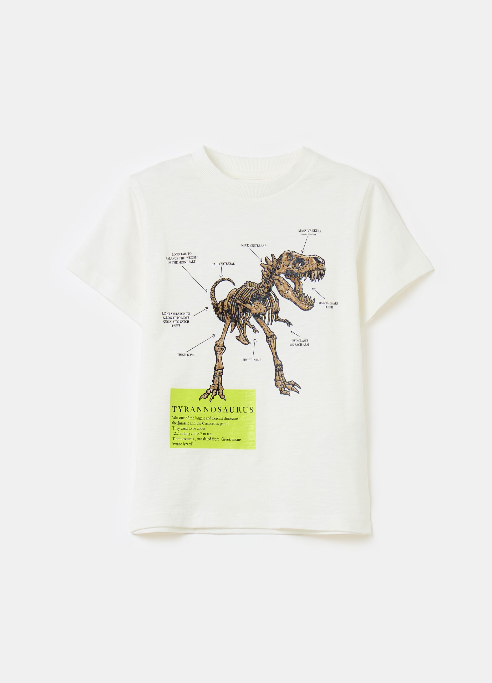 T-shirt in cotone con stampa dinosauro