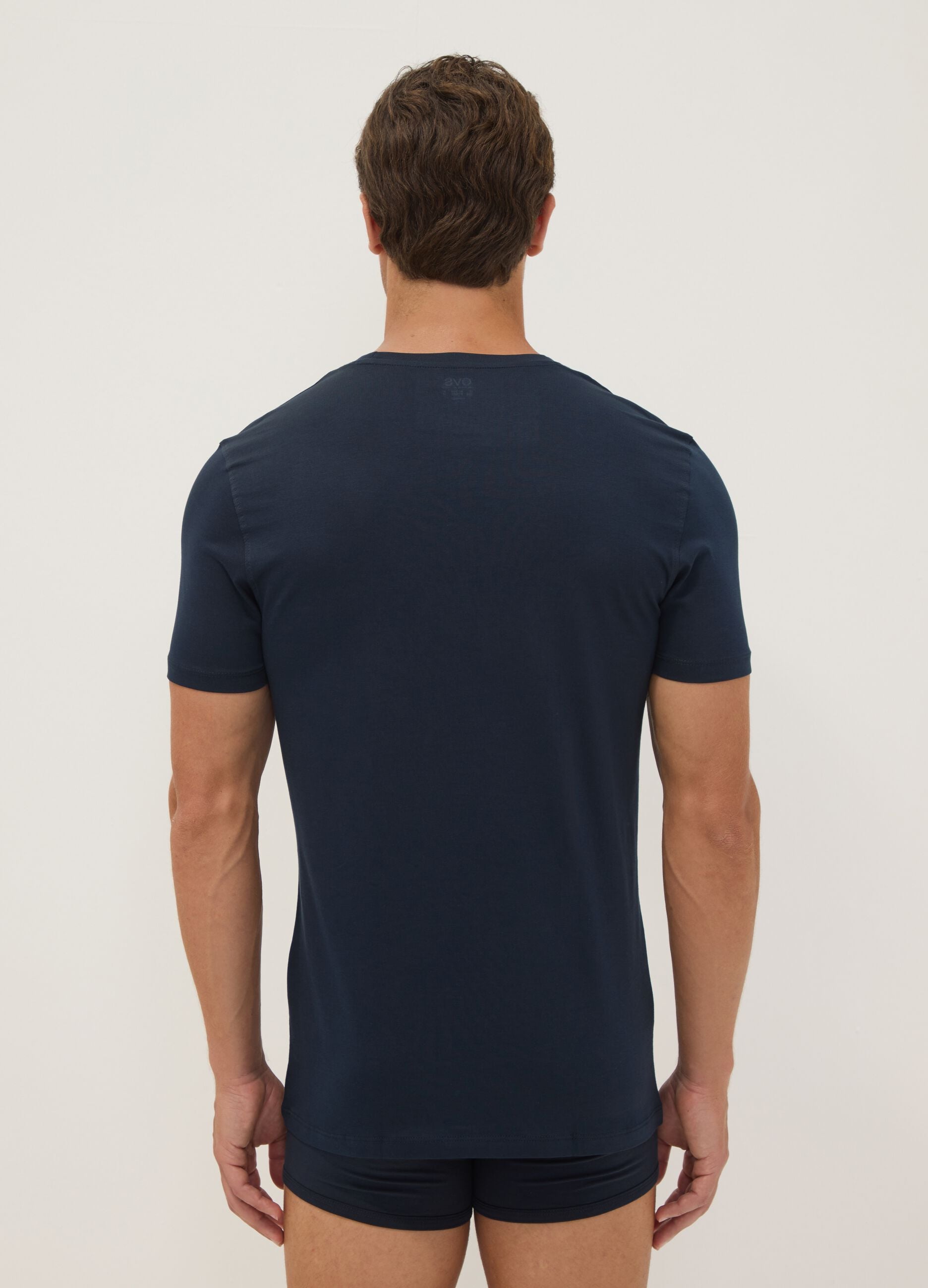 Blue pure Supima cotton V-neck T-shirt, regular fit