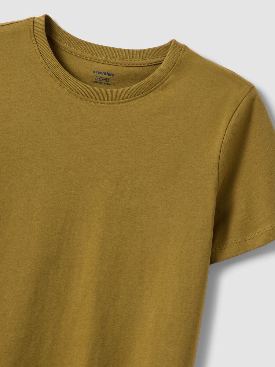 &Pi;&rho;ά&sigma;&iota;&nu;&omicron; &kappa;&omicron;&nu;&tau;&omicron;&mu;ά&nu;&iota;&kappa;&omicron; T-shirt &alpha;&pi;ό 100% &beta;&alpha;&mu;&beta;ά&kappa;&iota;, regular fit_5