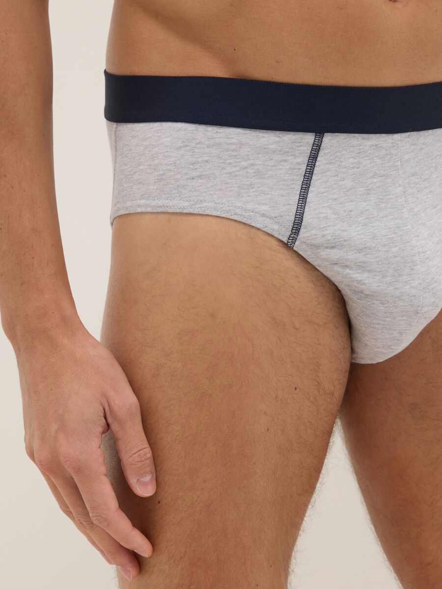 Multipack multicolour regular fit elasticated cotton briefs_3