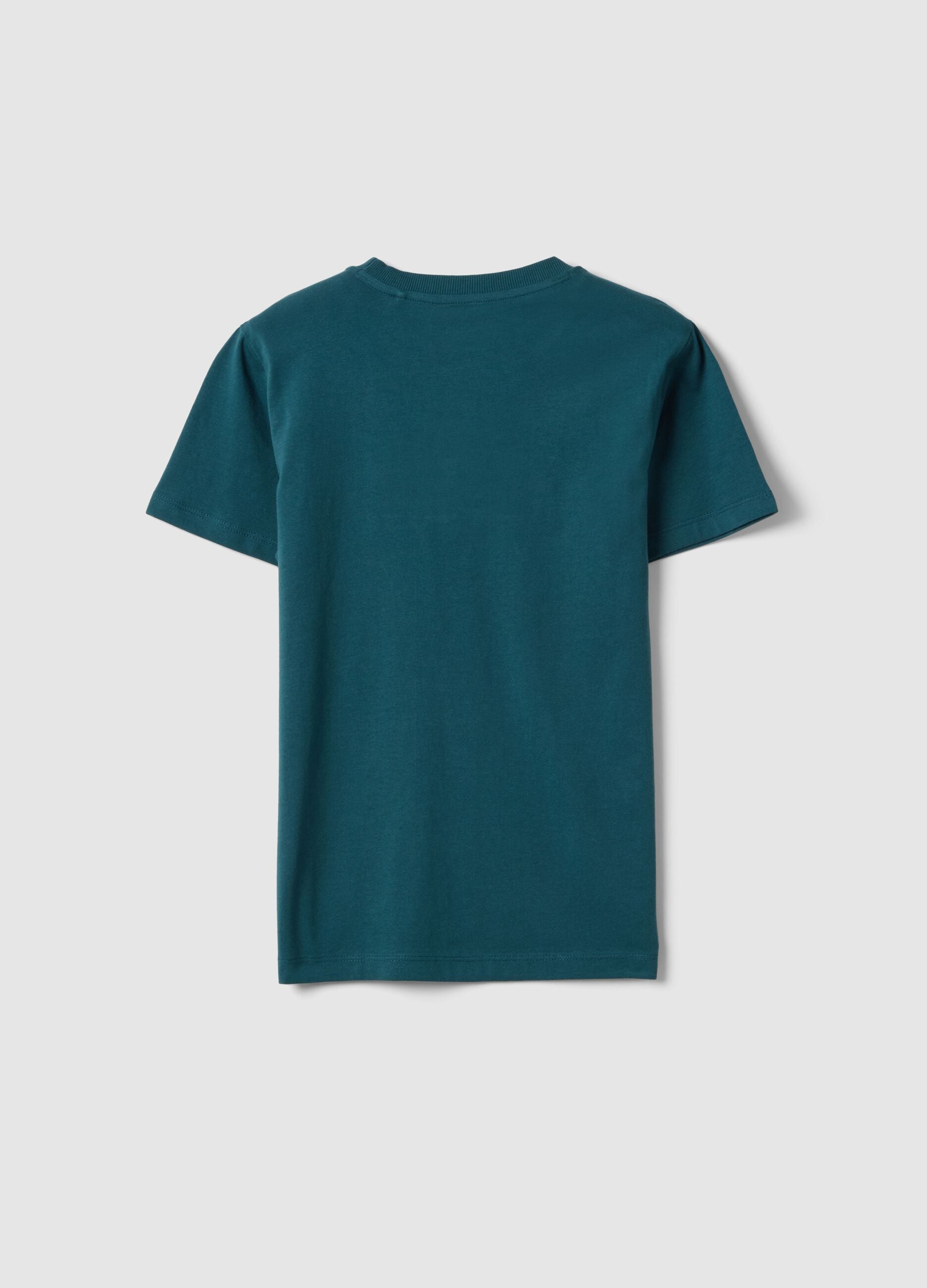 Boys' Regular Fit Green Pure Cotton T-shirt with Print