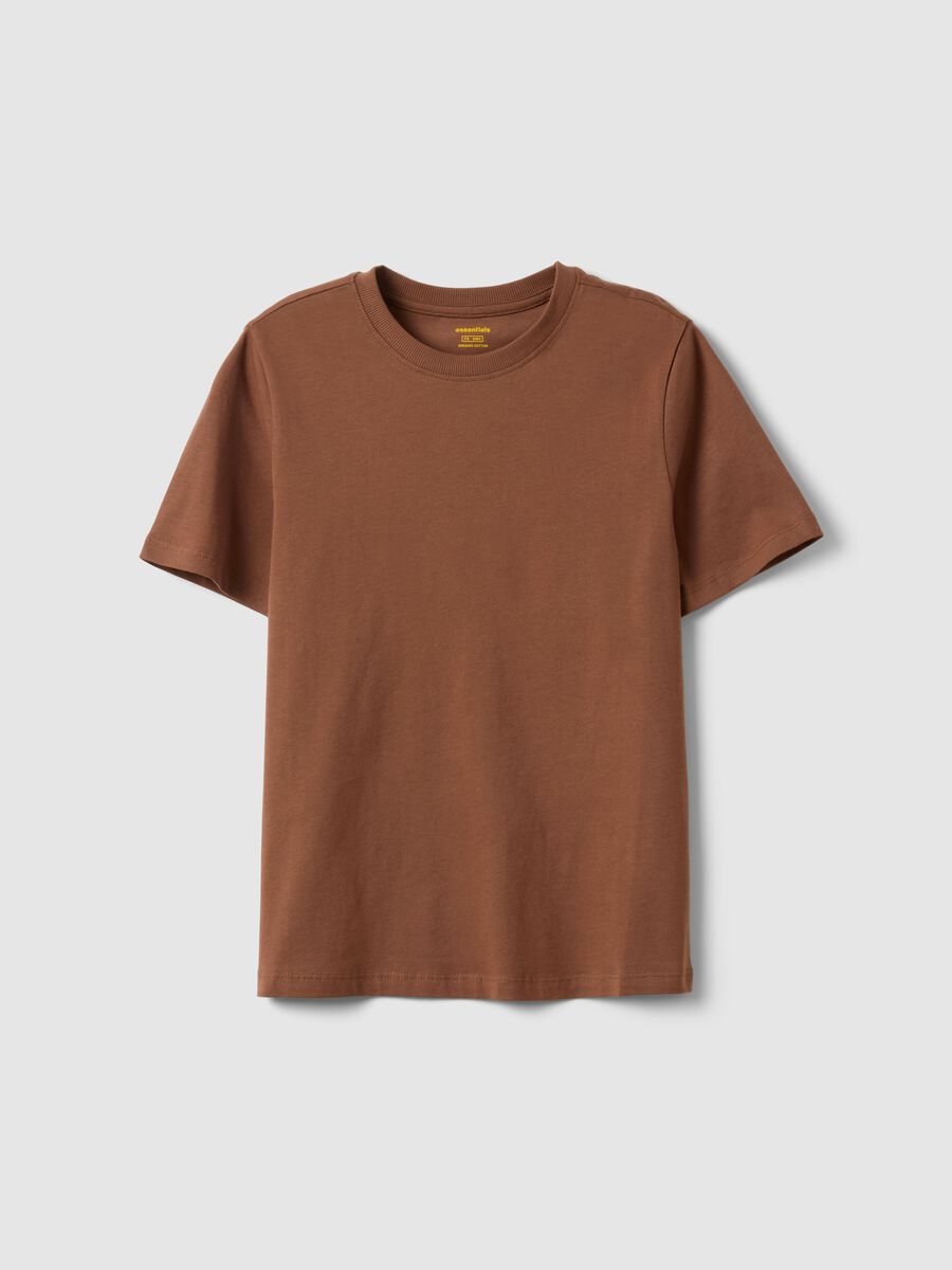 Brown pure cotton crew neck T-shirt regular fit_0