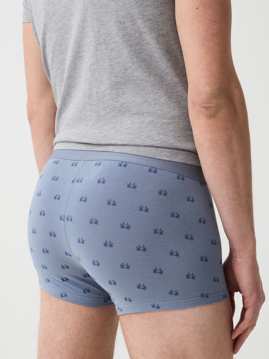 Three-pack boxer shorts with crab print_2