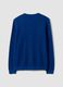 Blue pure cotton crew-neck jumper, regular fit_6