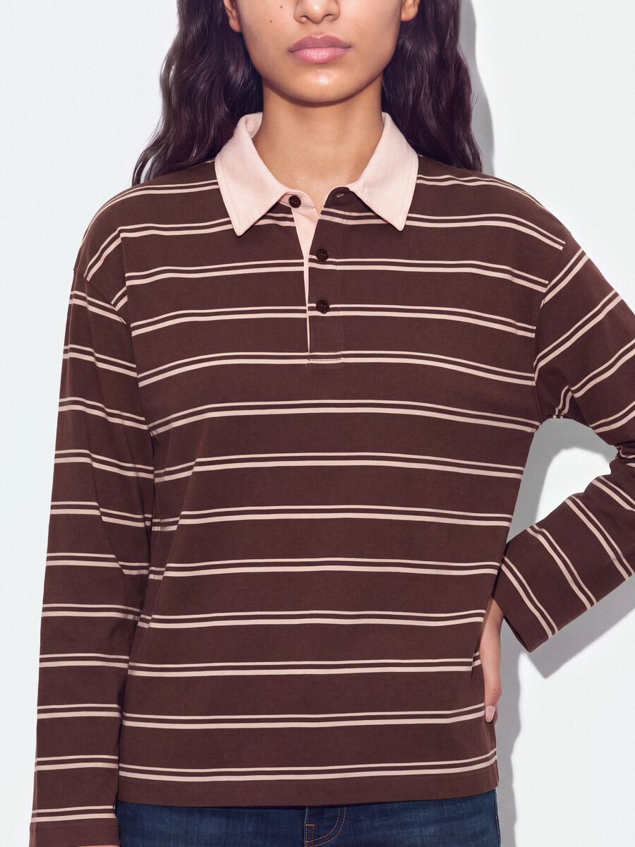 Brown striped long-sleeve pure cotton polo shirt, regular fit_3