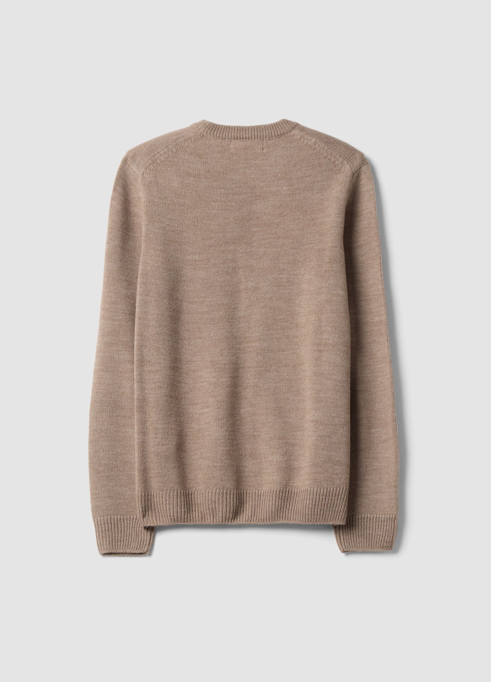Beige crew-neck regular-fit jersey knit jumper