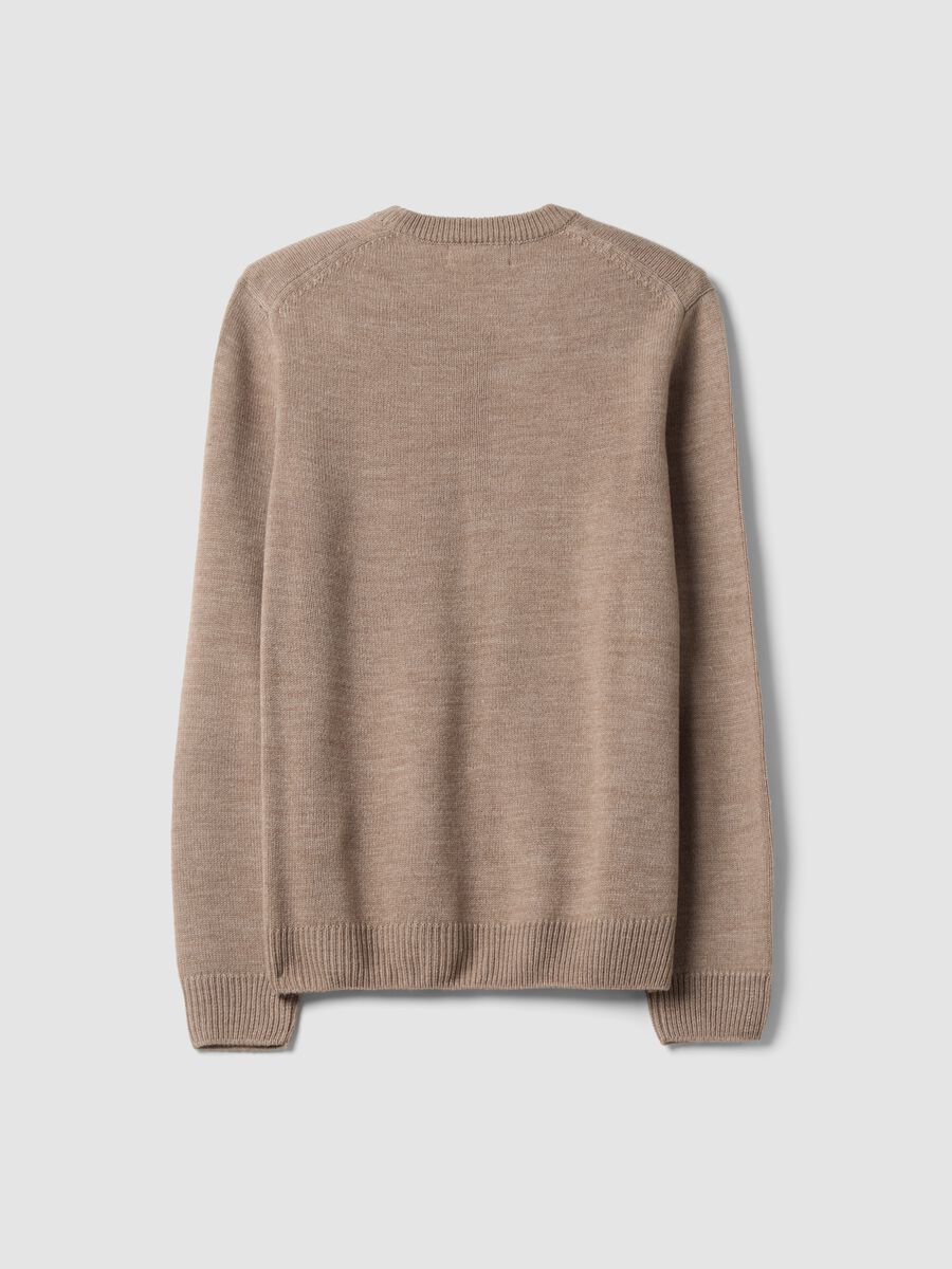 Beige crew-neck regular-fit jersey knit jumper_2