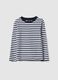 Multicolour Striped Cotton Long Sleeve T-Shirt - Regular Fit_0