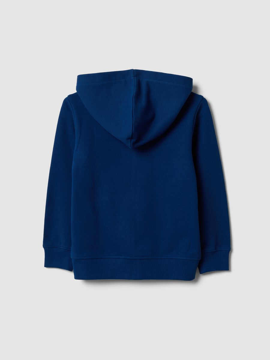 Blue hooded sweatshirt in pure organic cotton for boys, regular fit_1