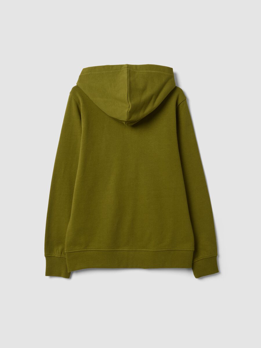 Green organic cotton hooded sweatshirt, regular fit, for boys_6