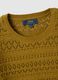 Yellow pure cotton regular fit knitted shirt_5