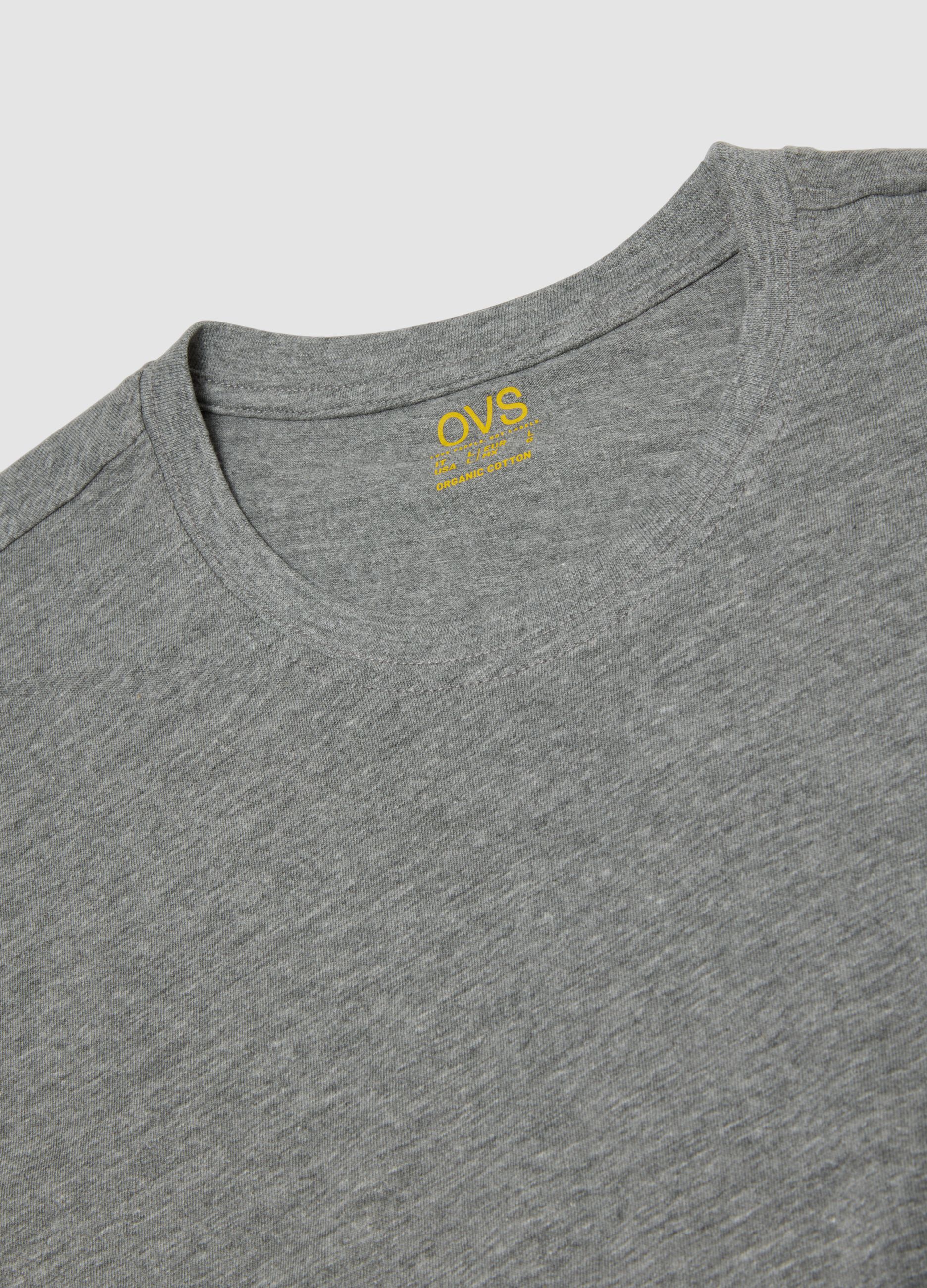 Camiseta gris de algod&oacute;n org&aacute;nico puro, corte regular
