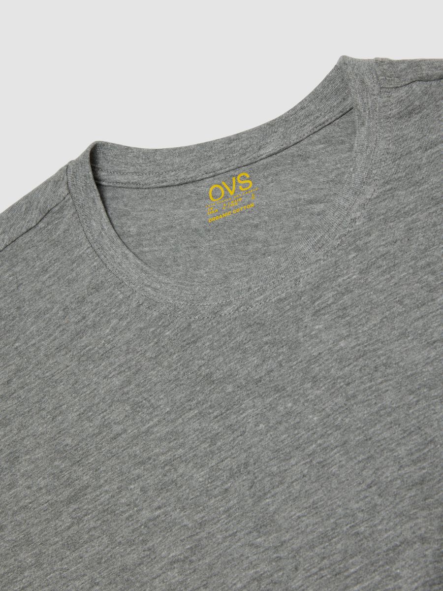 Graues Regular-Fit T-Shirt aus reiner Bio-Baumwolle_2