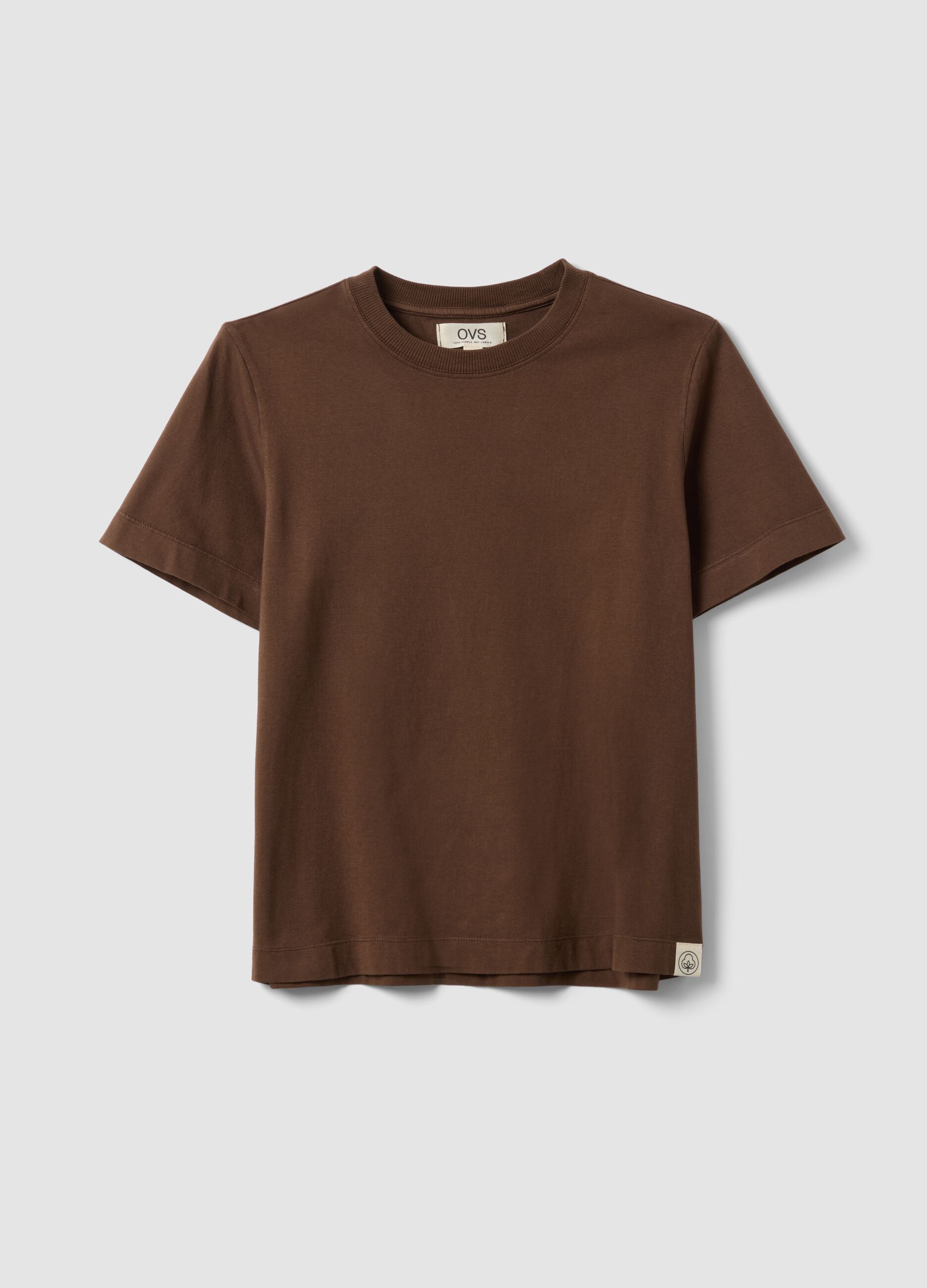 Brown short-sleeve pure cotton T-shirt, regular fit