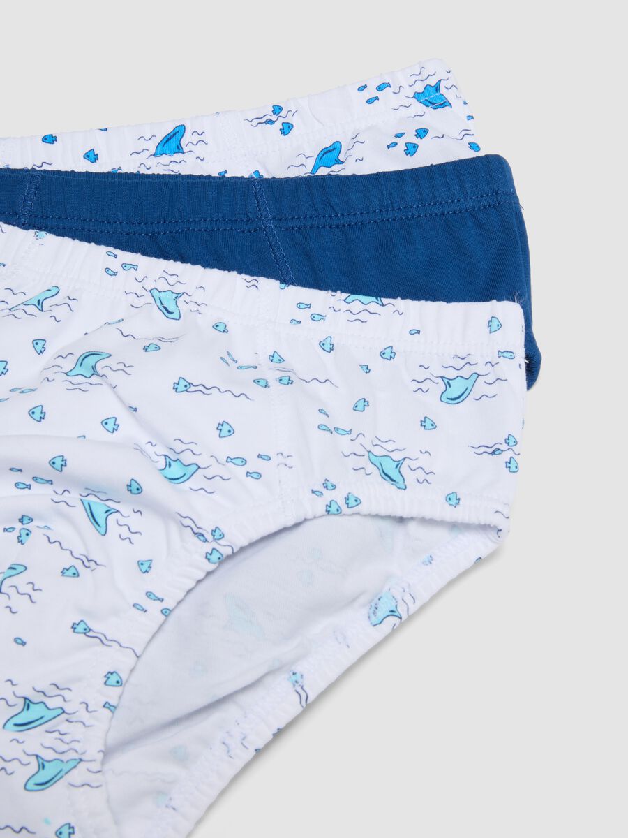 Mehrpack Jungen-Slips aus reiner Baumwolle in Multicolor_3