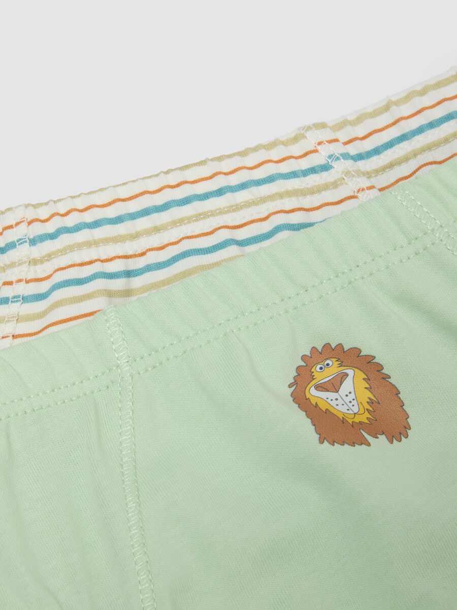 3-pack of multicoloured organic cotton briefs_2