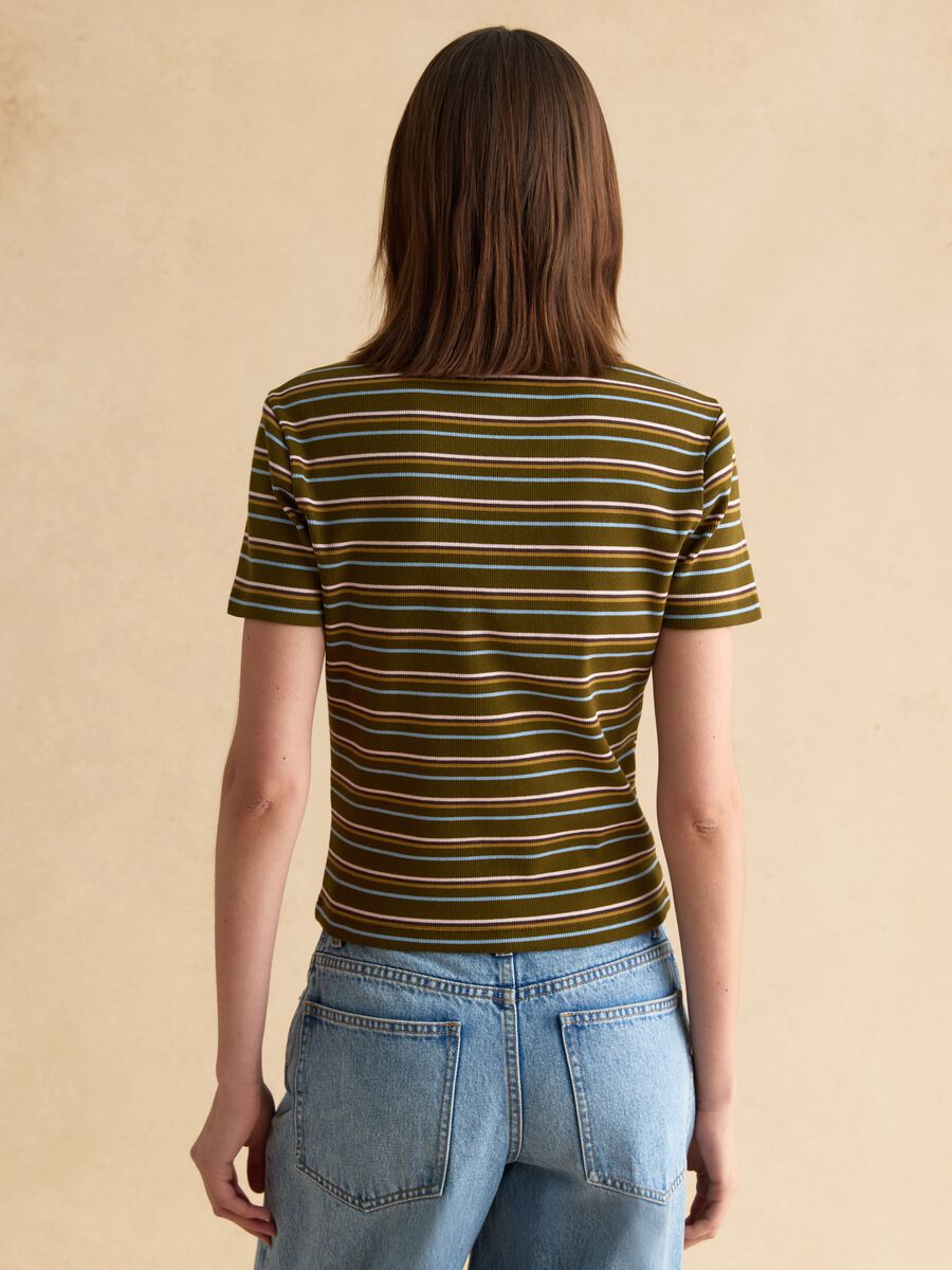 &Pi;&rho;ά&sigma;&iota;&nu;&omicron; &pi;ό&lambda;&omicron; &mu;&epsilon; &rho;ί&gamma;&epsilon;&sigmaf; &alpha;&pi;ό &epsilon;&lambda;&alpha;&sigma;&tau;&iota;&kappa;ό &beta;&alpha;&mu;&beta;ά&kappa;&iota;_2