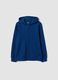 Blue boys&rsquo; organic cotton hoodie, regular fit_0
