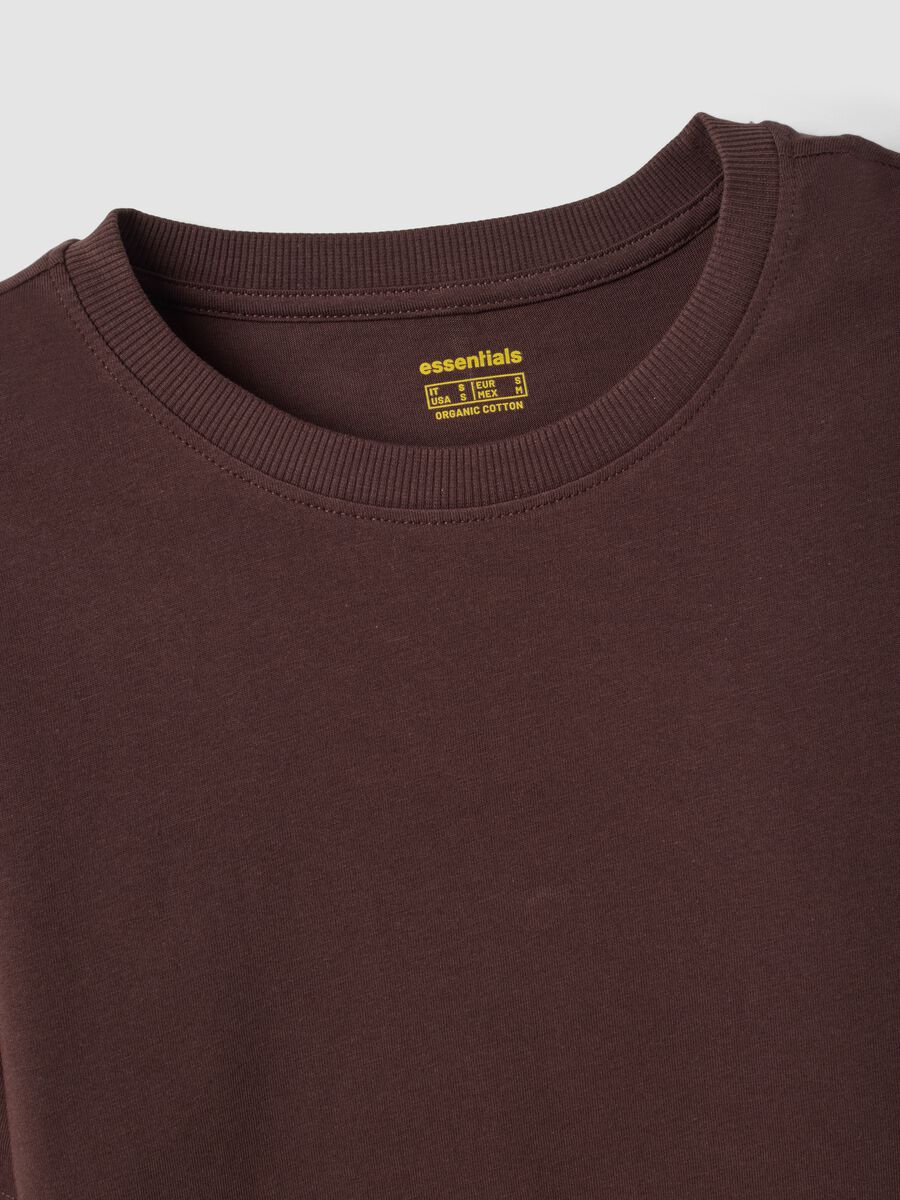 Brown crew-neck T-shirt in pure organic cotton, regular fit_1
