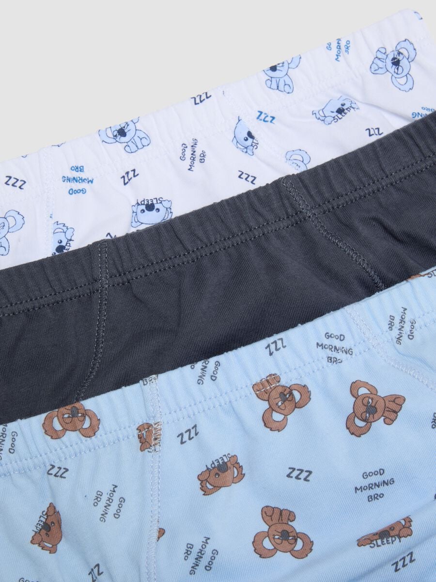 5er-Pack multicolor Slips aus reiner Bio-Baumwolle f&uuml;r Jungen_3