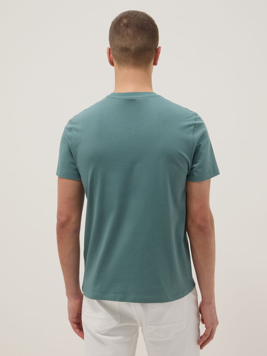 Green pure cotton short sleeve T-shirt, regular fit_4
