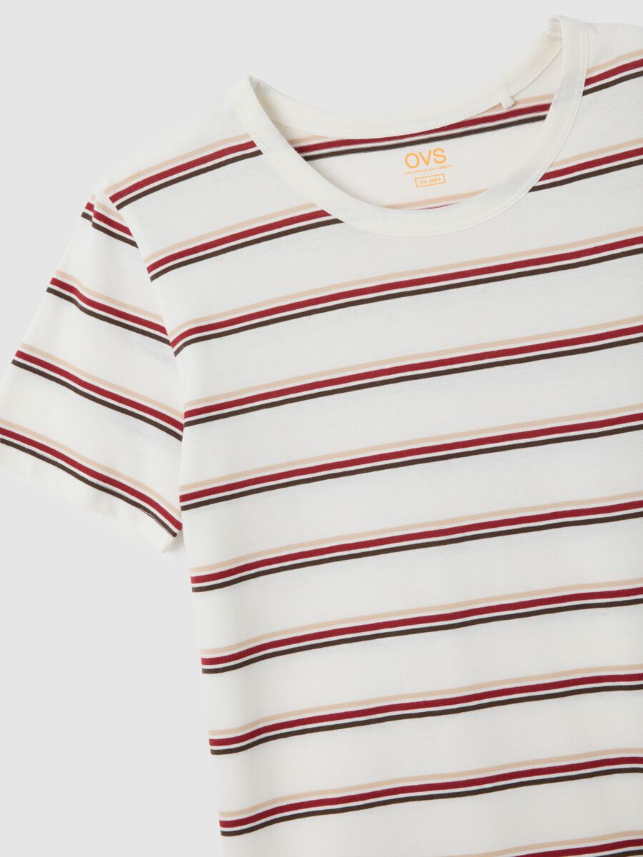 Women's Multicolour Pure Cotton T-Shirt_5