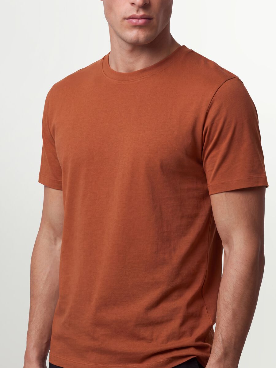 Brown regular-fit T-shirt in pure organic cotton jersey_3
