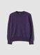 Violetter Pullover aus reiner Wolle mit langen &Auml;rmeln, Regular Fit_3