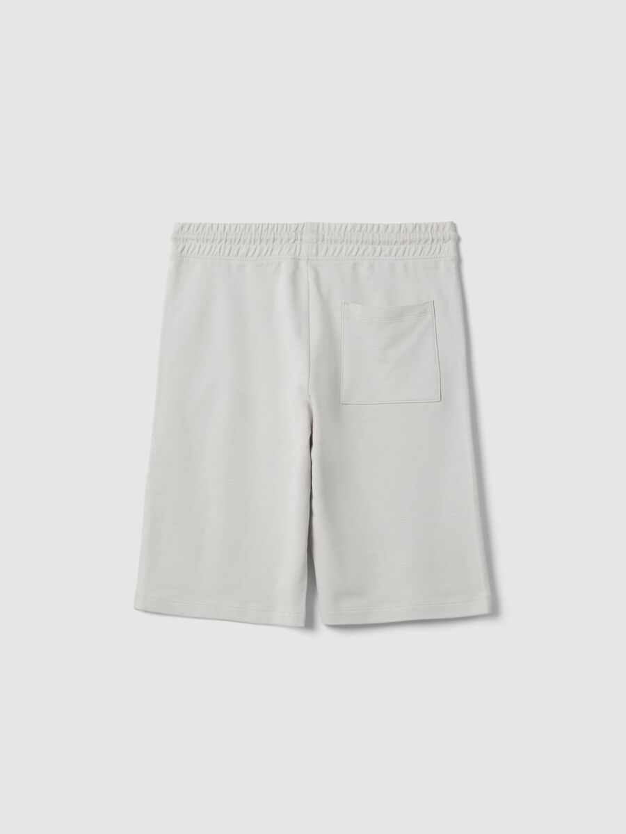 Boys' Grey Pure Cotton Shorts Regular Fit with New York Print_1