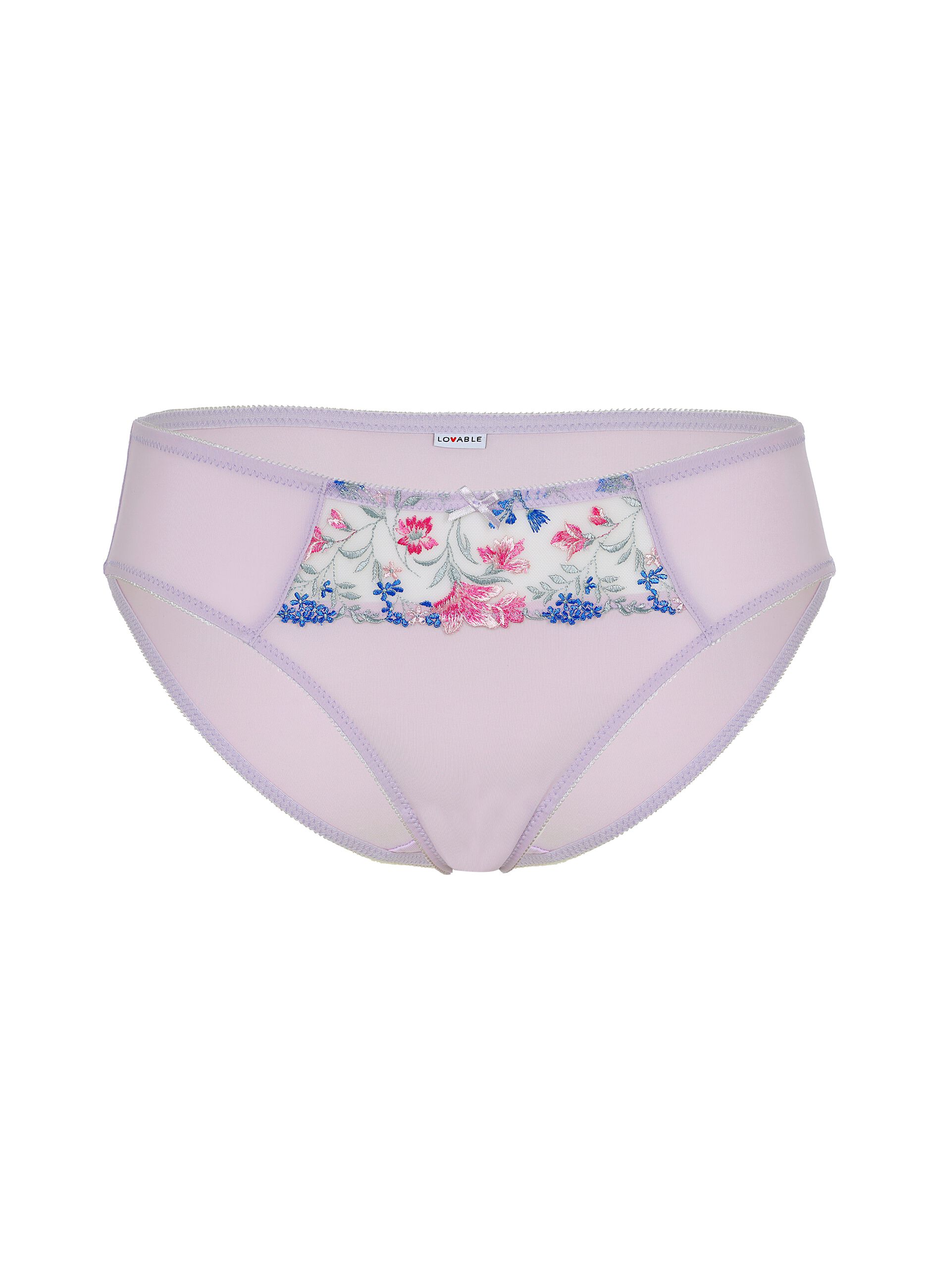 Embroidered lace briefs with floral embroidery
