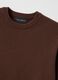 Brown pure cotton crew neck sweater regular fit_5