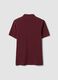 Polo rojo de piqu&eacute; 100% algod&oacute;n con cuello cl&aacute;sico, corte regular_5