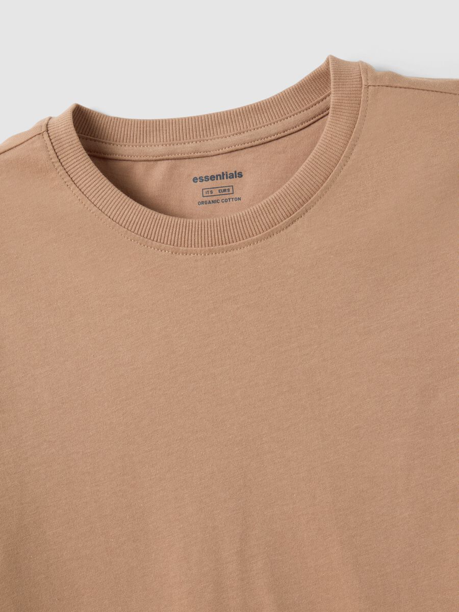 Brown pure cotton crew neck t-shirt regular fit_1
