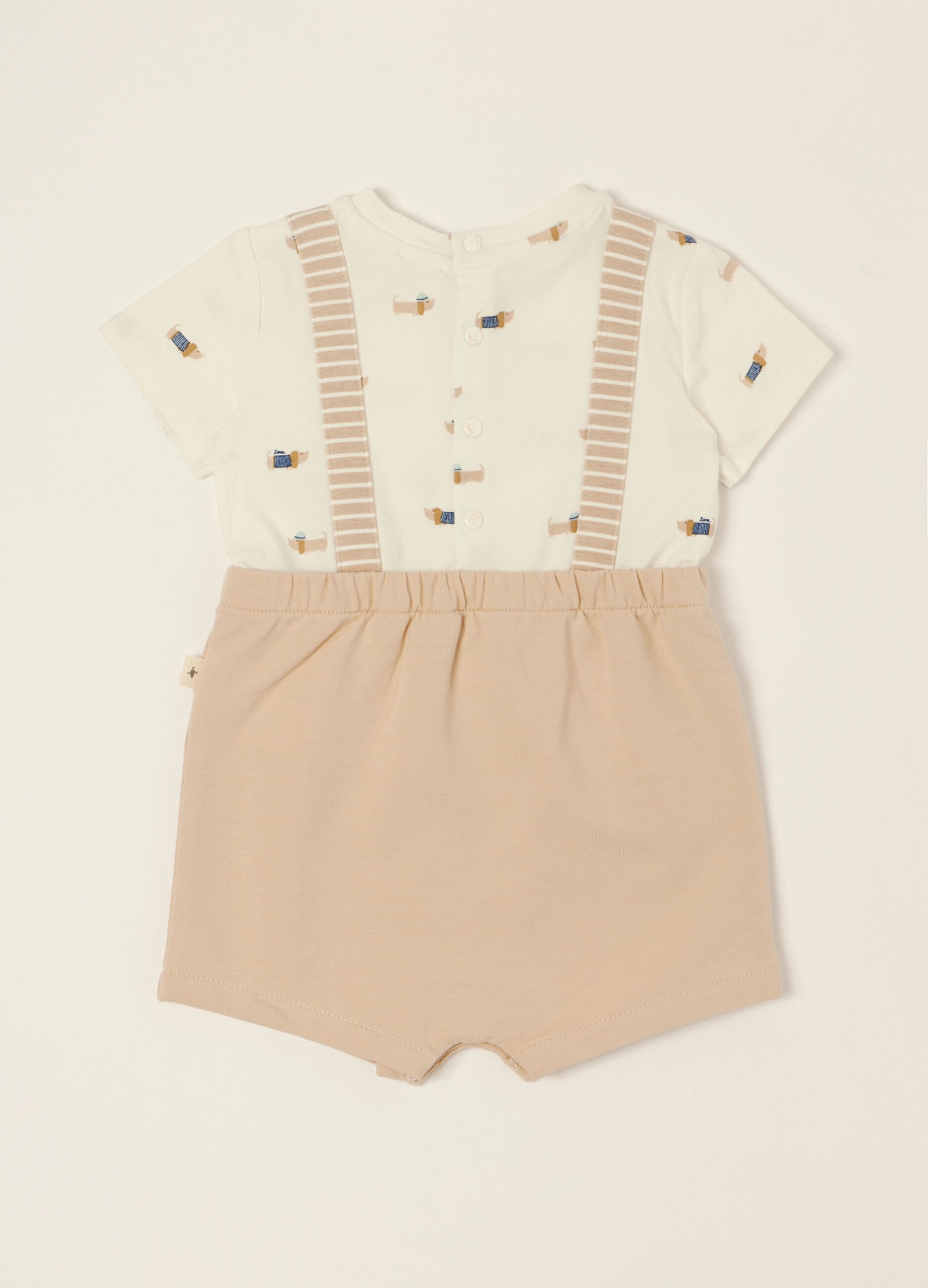 &Pi;&omicron;&lambda;ύ&chi;&rho;&omega;&mu;&omicron; &beta;&rho;&epsilon;&phi;&iota;&kappa;ό &phi;&omicron;&rho;&mu;ά&kappa;&iota; &mu;&epsilon; &sigma;&tau;ά&mu;&pi;&alpha; &alpha;&pi;ό &epsilon;&lambda;&alpha;&sigma;&tau;&iota;&kappa;ό &beta;&alpha;&mu;&beta;ά&kappa;&iota;