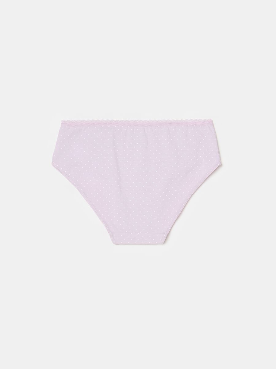 Briefs in organic cotton with micro polka dots print_1
