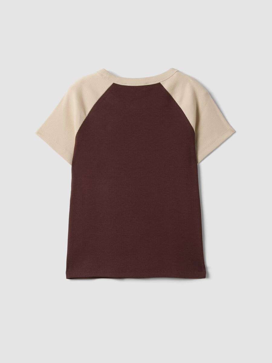 T-shirt castanha em algod&atilde;o el&aacute;stico com decote redondo e mangas em contraste_1