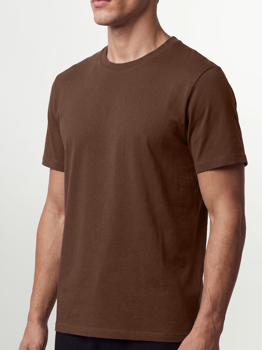 Brown regular-fit T-shirt in pure organic cotton jersey_2