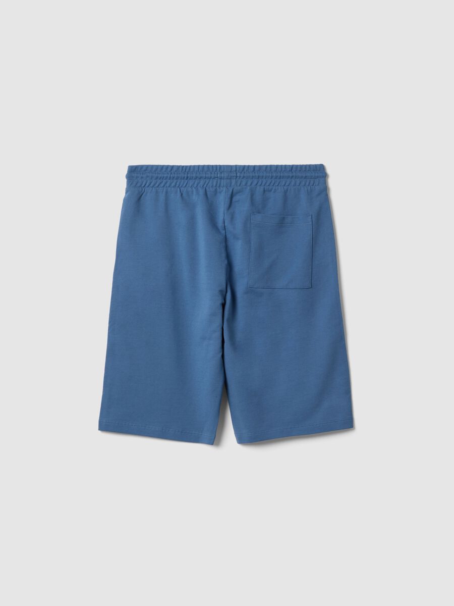 Boys' blue pure cotton shorts, regular fit with print_1