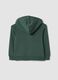 Felpa verde con cappuccio in puro cotone organico regular fit_1