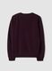 Purple pure wool crew-neck jumper, regular fit_6