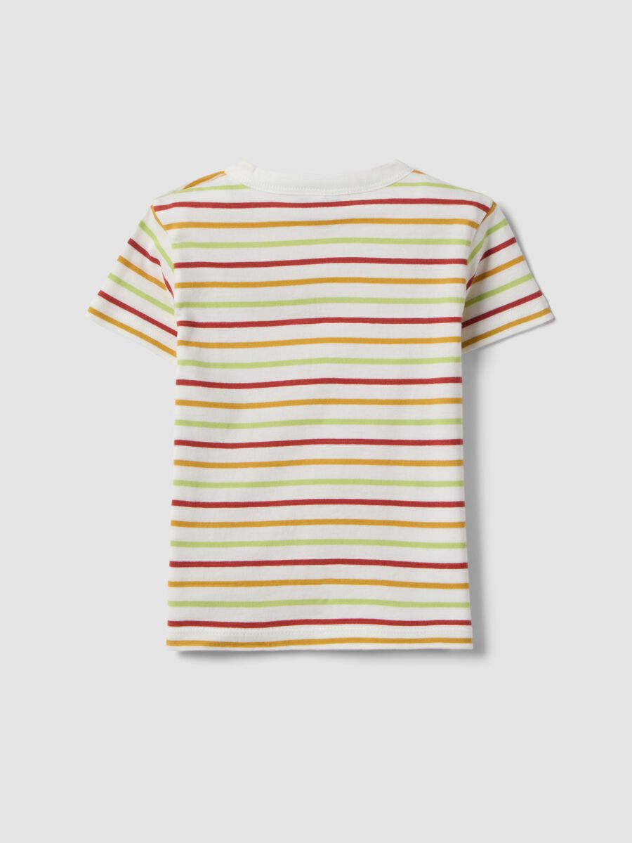 Boys&rsquo; pure cotton multicolour striped T-shirt with dog pocket_1