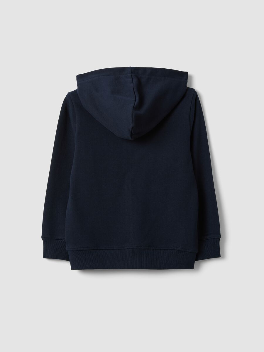 Blue hooded sweatshirt in pure organic cotton for boys, regular fit_1