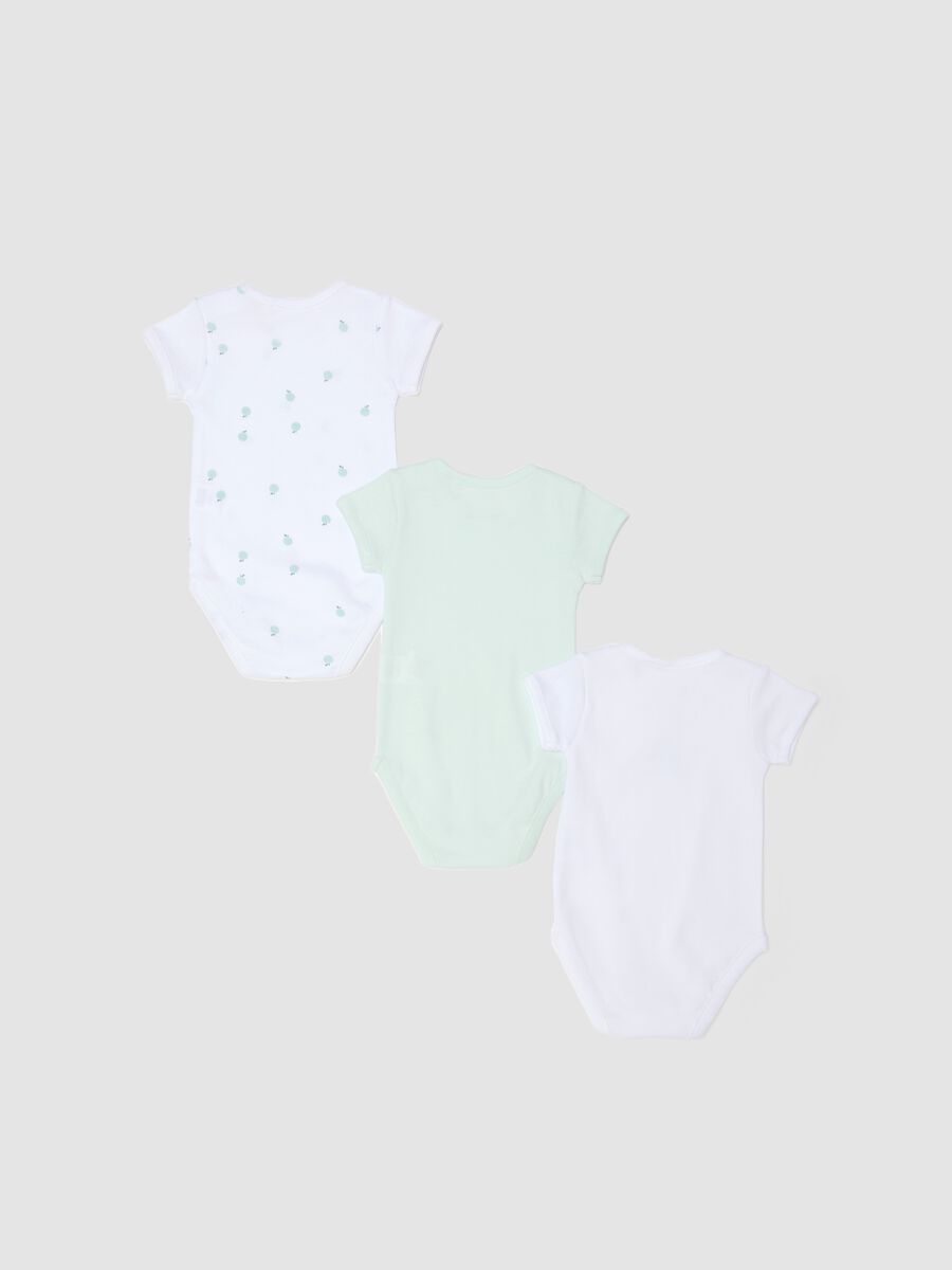 Baby multicolour pure cotton bodysuit tripack with fruit_1