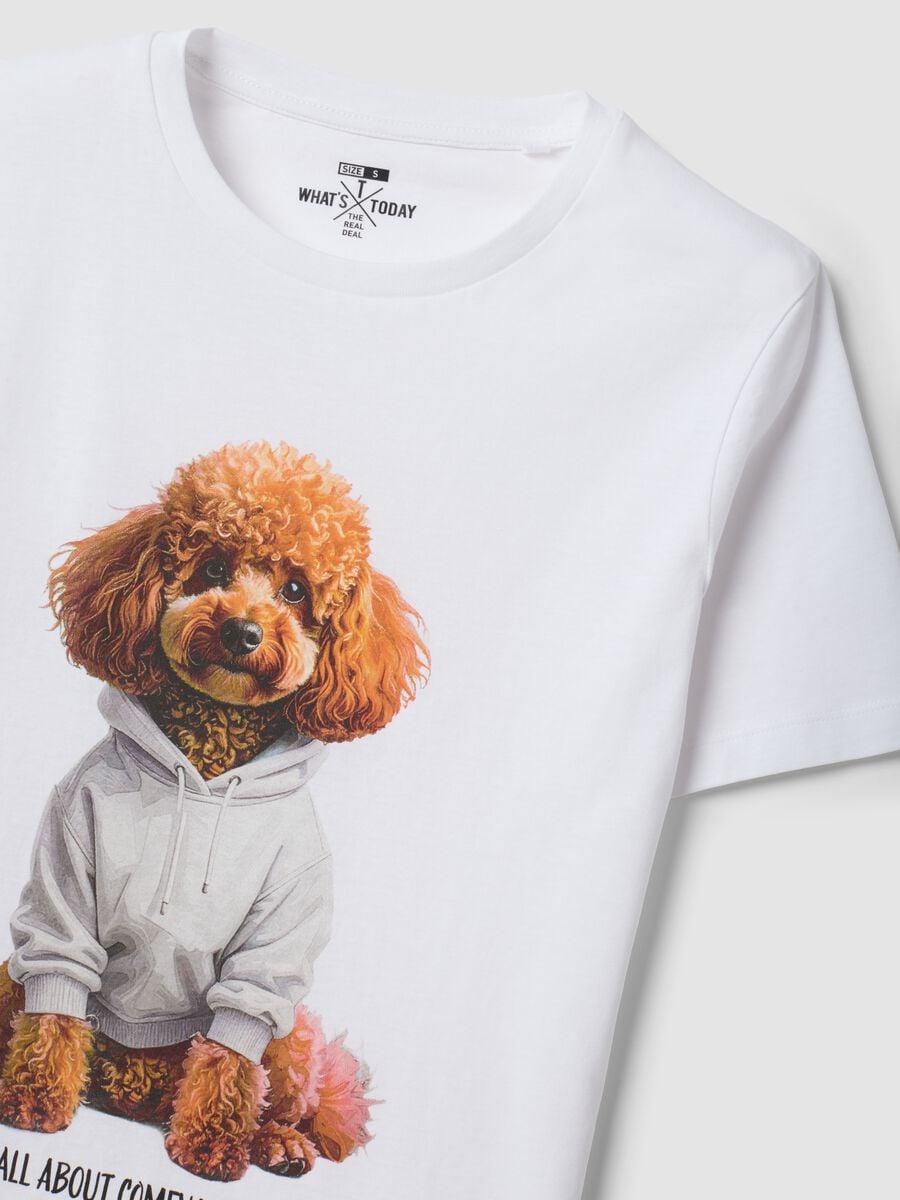 T-shirt bianca in puro cotone jersey e stampa cagnolino regular fit_2