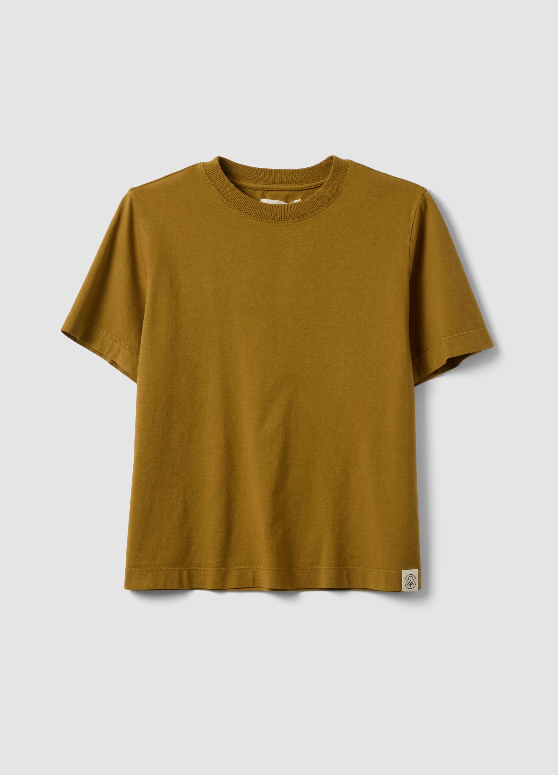 Brown short-sleeve pure cotton T-shirt, regular fit