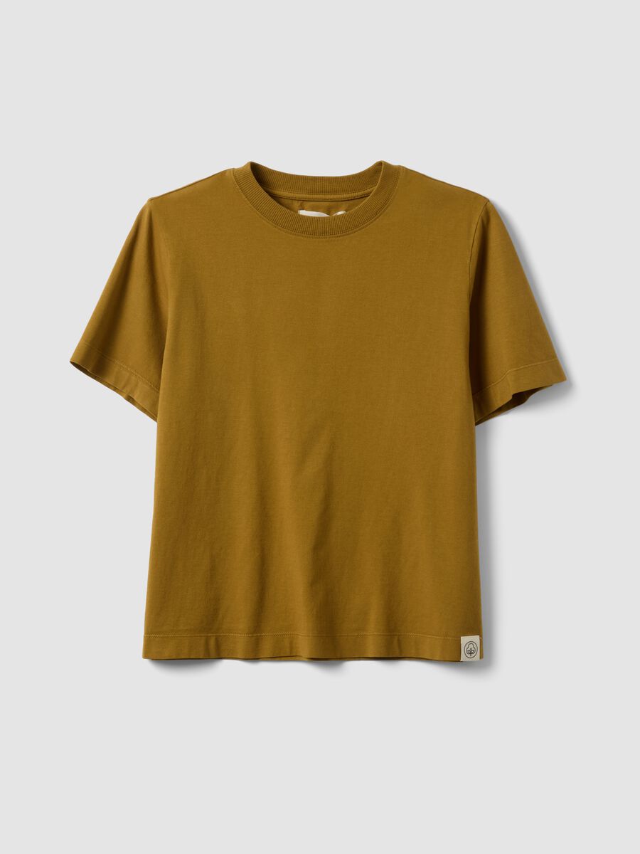 Brown short-sleeve pure cotton T-shirt, regular fit_0