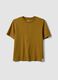 Brown short-sleeve pure cotton T-shirt, regular fit_0