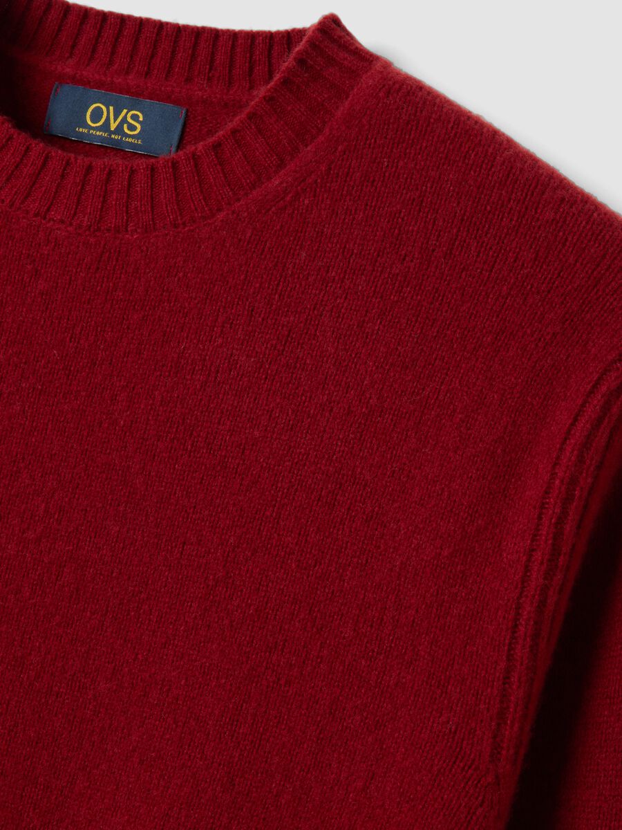 Red crew-neck wool-blend jumper, regular fit_1
