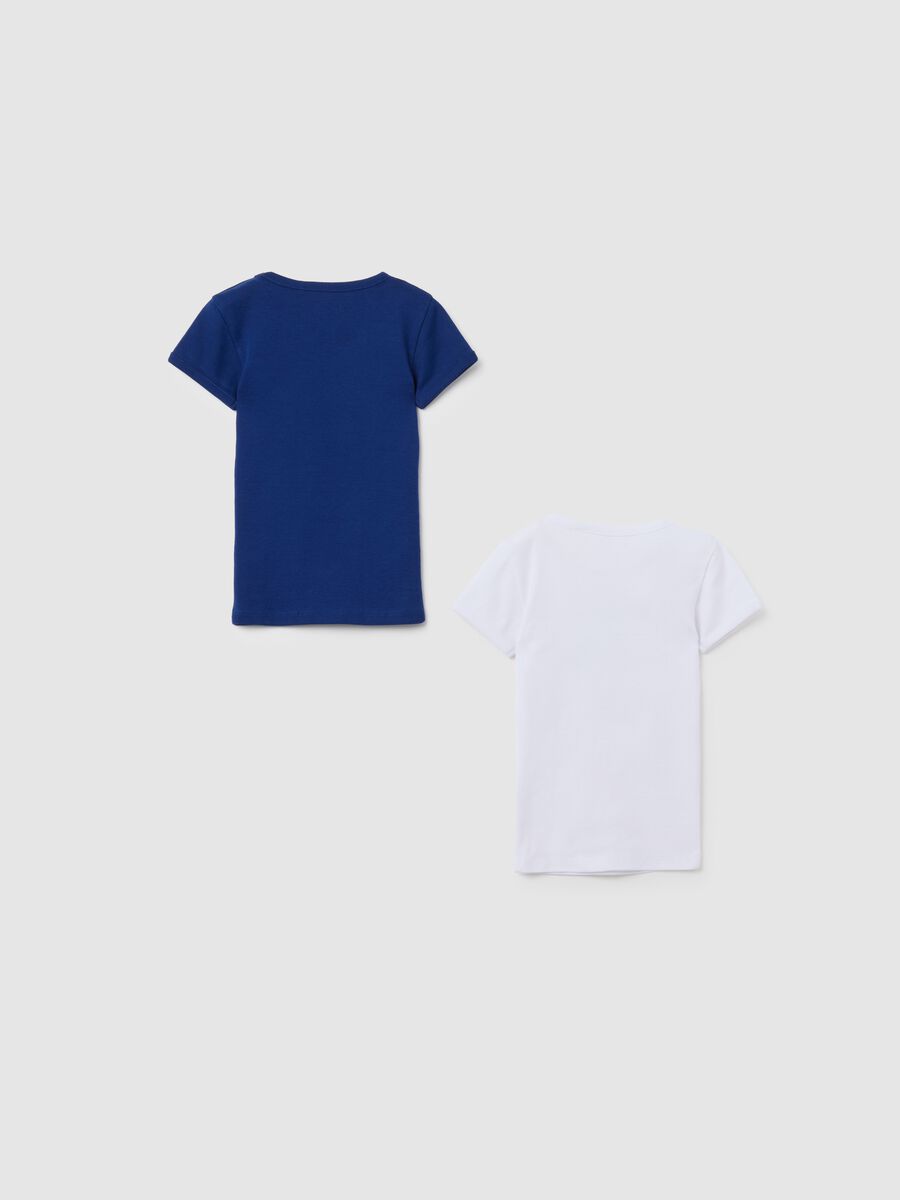 Children's regular fit multicolour pure cotton t-shirt twin pack_1